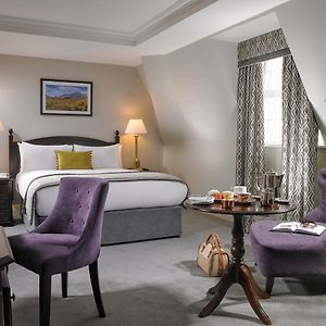 Modern Twin Room